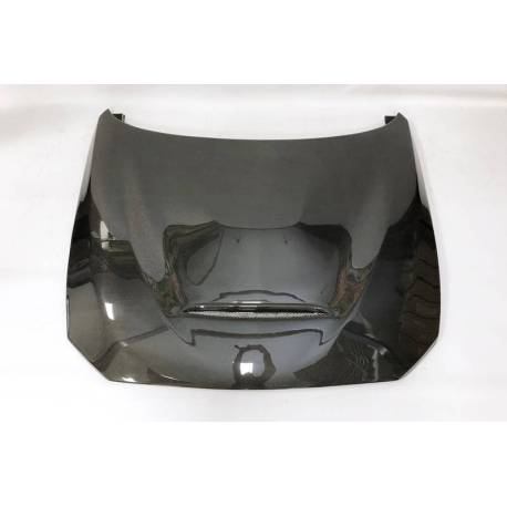 Capó Carbono Bmw F20/F21 2012-2019  /  F22/F23 2014+ M3 / F87 Look GTS