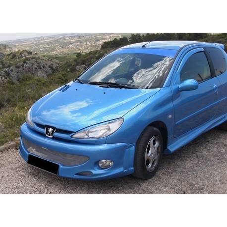 Paragolpes Delantero Peugeot 206 GT
