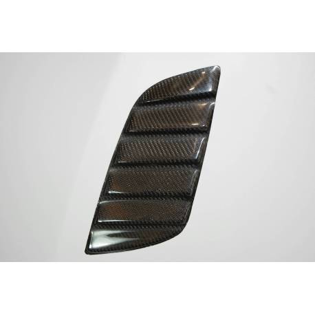 CAPO FIBRA BMW E92 / E93 Look M3 GTR