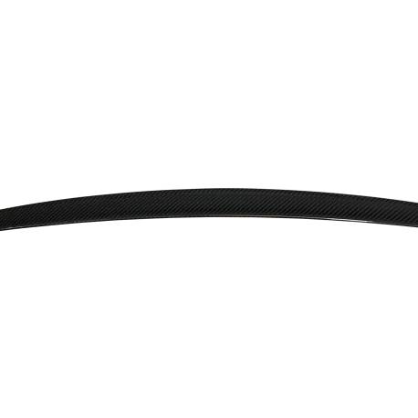 Alerón BMW F10 10-16 M5 Carbono