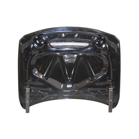 Capó Carbono BMW F30 / F31 / F32 / F33 / F36 Look GTS