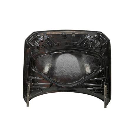 CAPO CARBONO F20/F21 2012-2019  /  F22/F23 2014+ Look M3 / F87