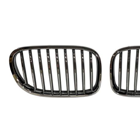 Parrilla BMW F01 / F02