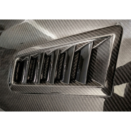 Capó Carbono Ford Focus 2012-2015 RS