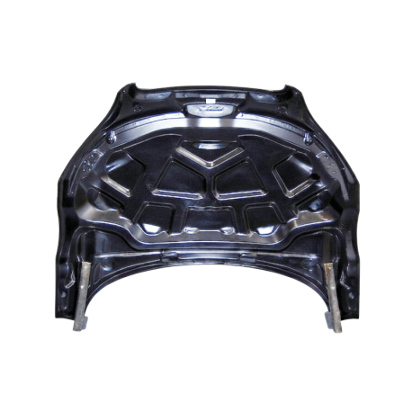 Capó Carbono Audi TT 8J 2006-2014