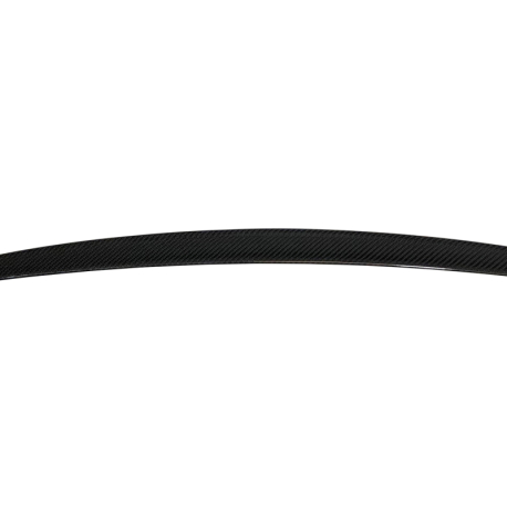 Alerón BMW F10 10-16 M5 Carbono