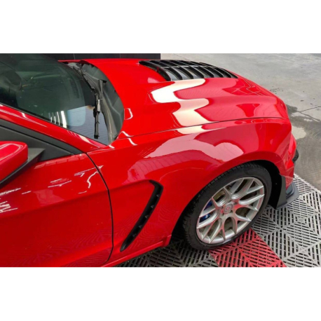 Aletas Ford Mustang 2010-2014 look GT500