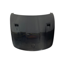 Capó Carbono Porsche Cayman 718 2016-2023 / Boxter