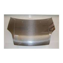 Capó Carbono Ford Fiesta '02 S/T