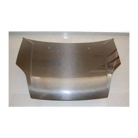 Capó Carbono Ford Fiesta '02 S/T