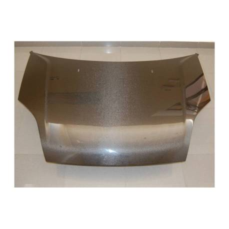 Capó Carbono Ford Fiesta '02 S/T