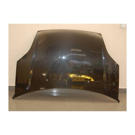 Capó Carbono Ford Fiesta '02 S/T