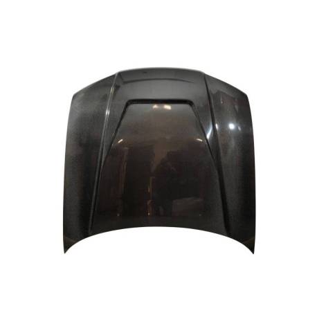 Capó Carbono Nissan Skyline R33 95 GTR C/Toma