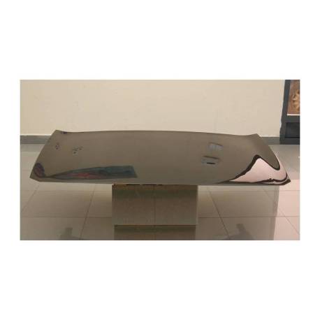 Capó Carbono Renault Megane 2003 S/T