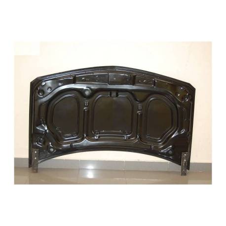 Capó Carbono Renault Megane 2003 S/T