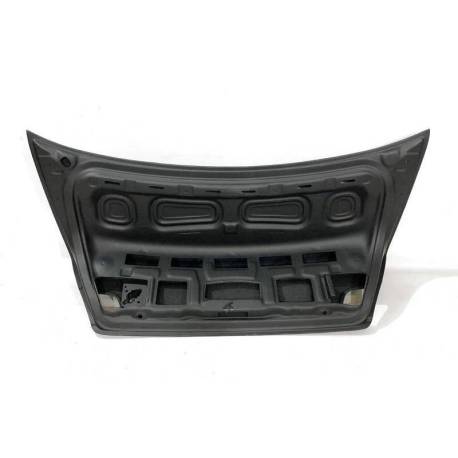 Portón Carbono BMW E46 99-05 2P/ E46 Look M3 CSL