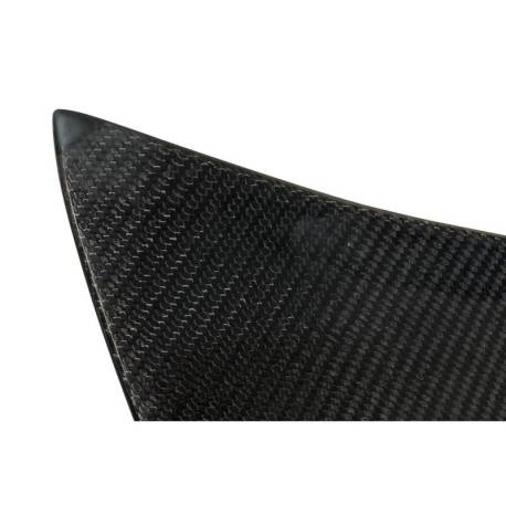 Portón Carbono BMW E46 99-05 2P/ E46 Look M3 CSL