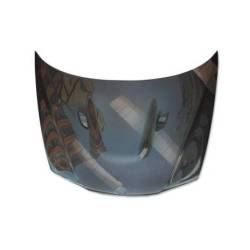 Capó Carbono BMW E46 Look M3 Look E92