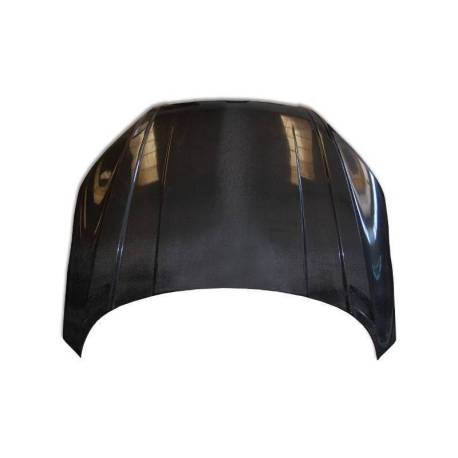 Capó Carbono Audi TT 8J 2006-2014