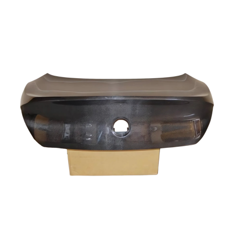 Portón Carbono BMW E63 CSL