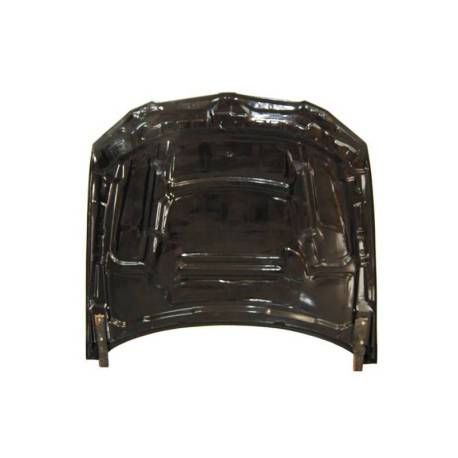 Capó Carbono BMW E92 LCI Look M3 GTR