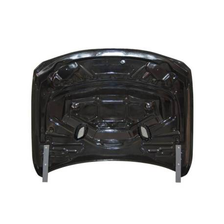 Capó Carbono BMW F30 / F31 / F32 / F33 / F36 Look GTR