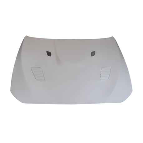 Capó De Fibra BMW F10 look GTR