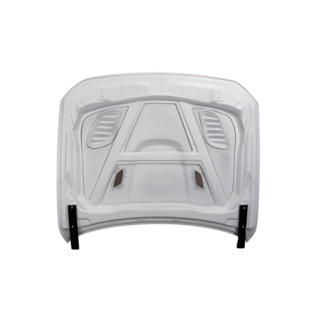 Capó De Fibra BMW F10 look GTR