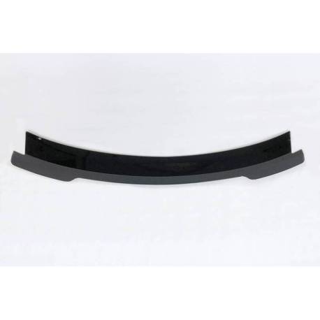 Alerón Ford Mustang GT350 R 2015-2019 ABS