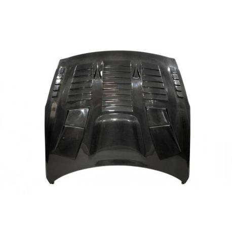 Capó Carbono Nissan Skyline R35 2016-2022