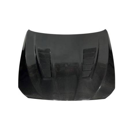 Capó Carbono BMW F10 / F11 2010-2016 Look GTR2  Con Toma Mod. II