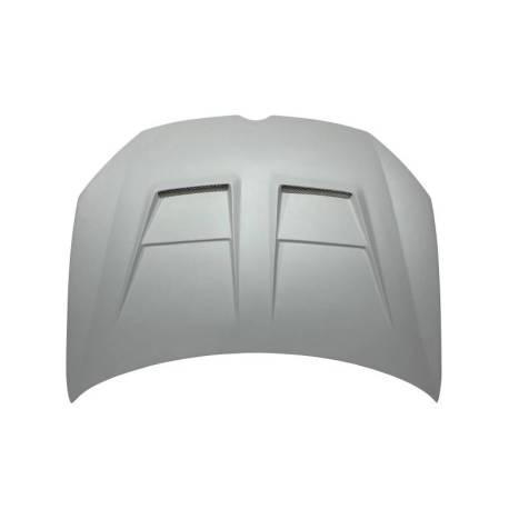 Capó Fibra Volkswagen Golf 6