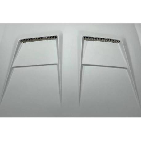 Capó Fibra Volkswagen Golf 6