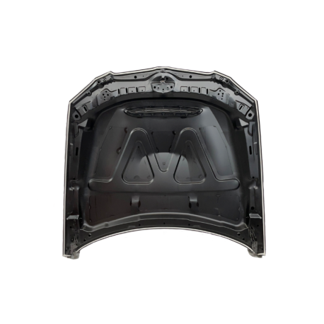 Capó BMW E92 / E93 10-13 LCI Look GTS Metal