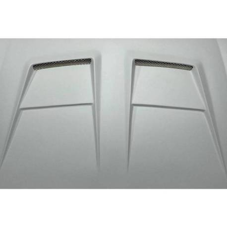 Kit De Carrocería Volkswagen Golf 6 look R20 Capó